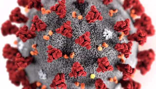 COVID-19 & Broken Contracts